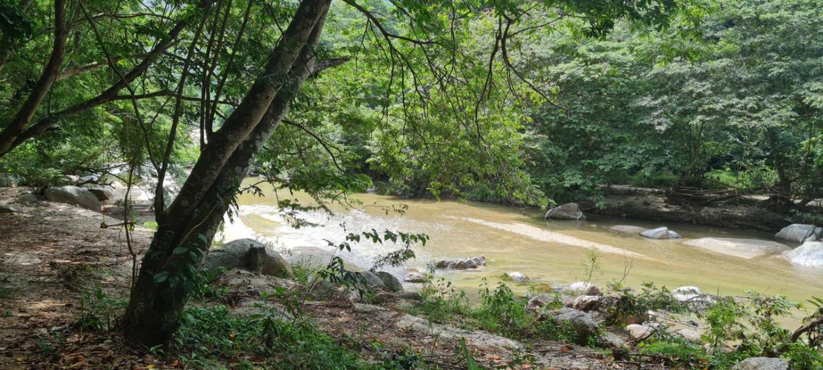 Eco Hostal Monolandia Эль-Саино Экстерьер фото