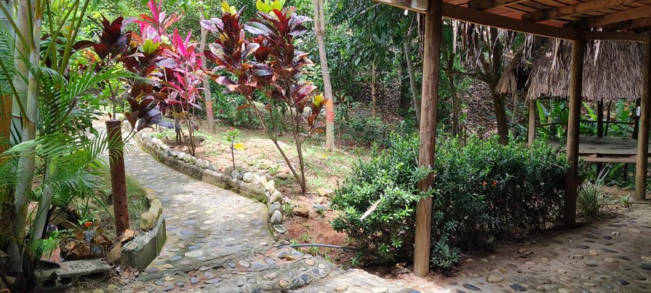 Eco Hostal Monolandia Эль-Саино Экстерьер фото