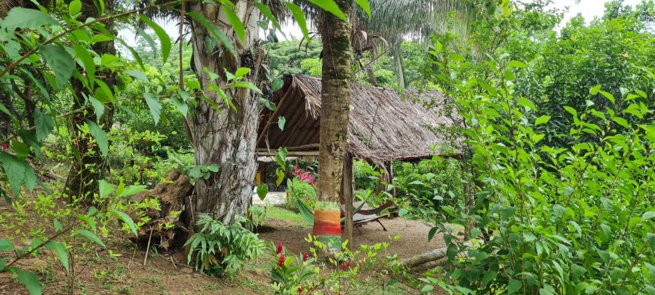 Eco Hostal Monolandia Эль-Саино Экстерьер фото