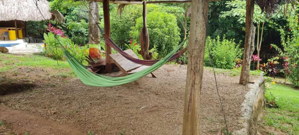 Eco Hostal Monolandia Эль-Саино Экстерьер фото