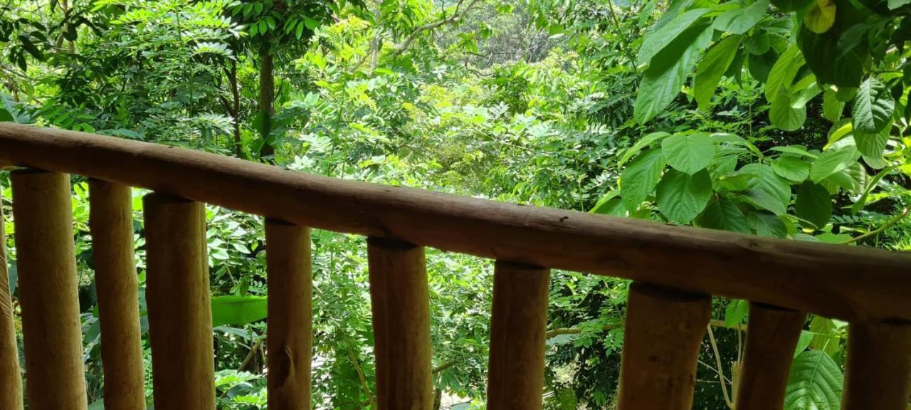 Eco Hostal Monolandia Эль-Саино Экстерьер фото