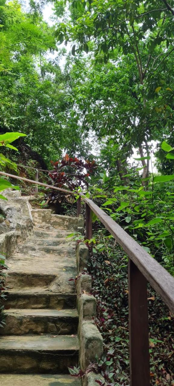 Eco Hostal Monolandia Эль-Саино Экстерьер фото
