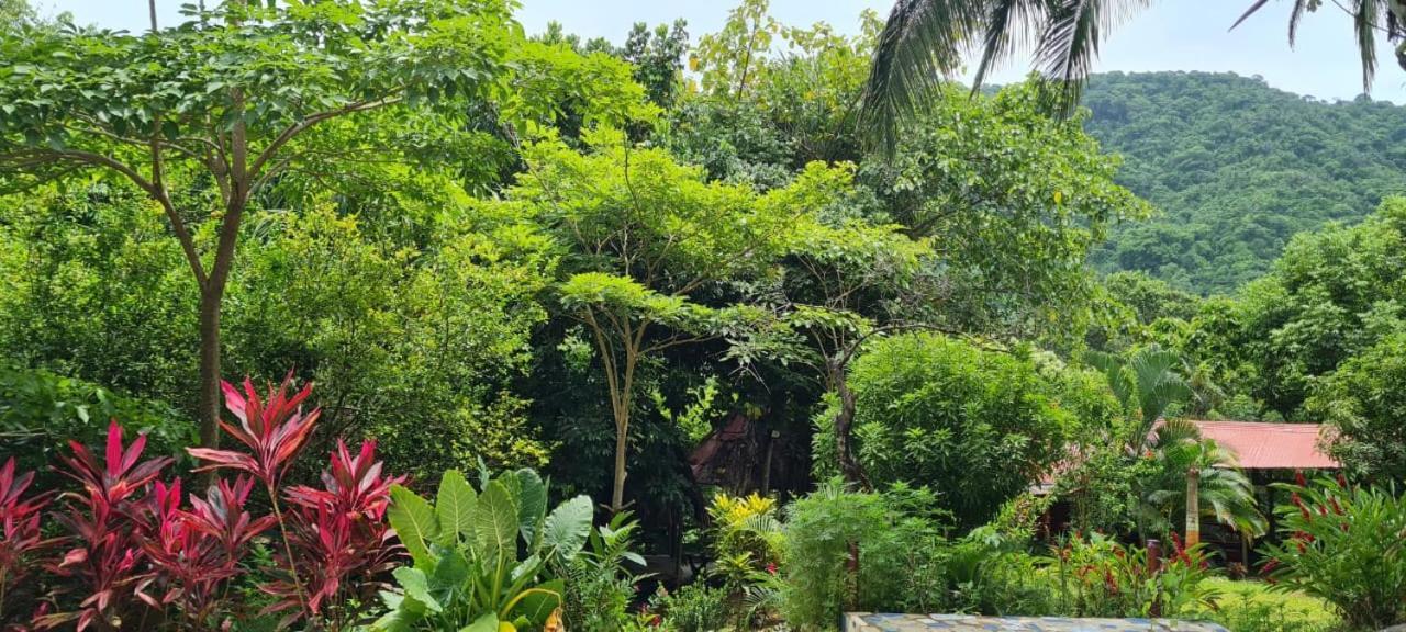 Eco Hostal Monolandia Эль-Саино Экстерьер фото